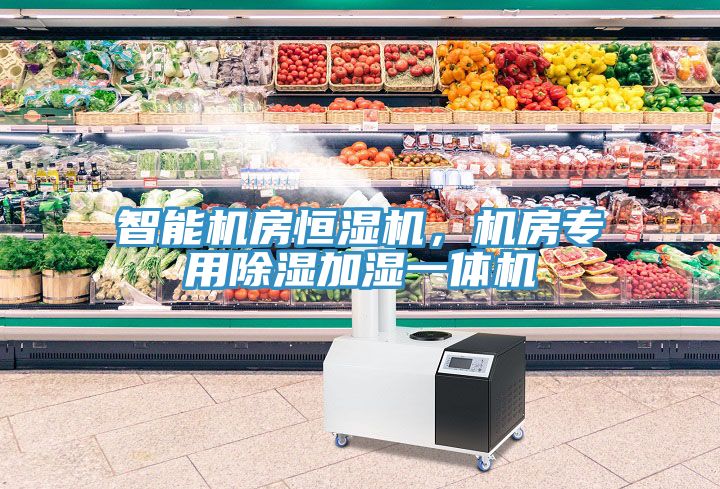 智能機房恒濕機，機房專用除濕加濕一體機