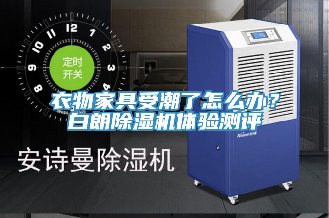 衣物家具受潮了怎么辦？白朗除濕機體驗測評