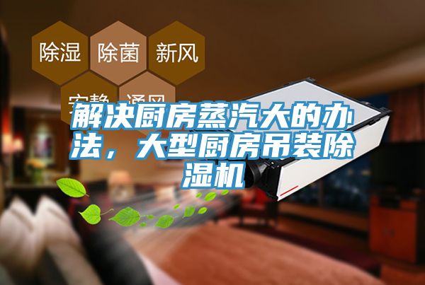 解決廚房蒸汽大的辦法，大型廚房吊裝除濕機(jī)