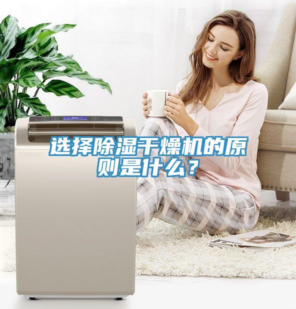 選擇除濕干燥機的原則是什么？