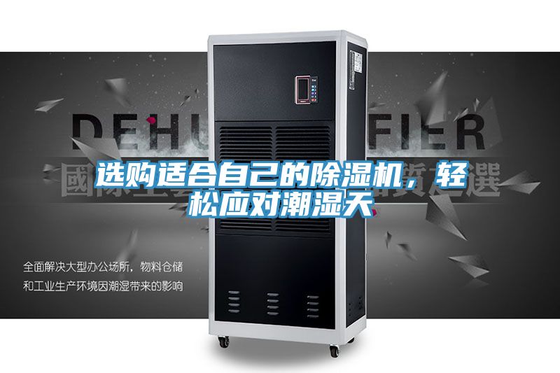選購適合自己的除濕機，輕松應對潮濕天