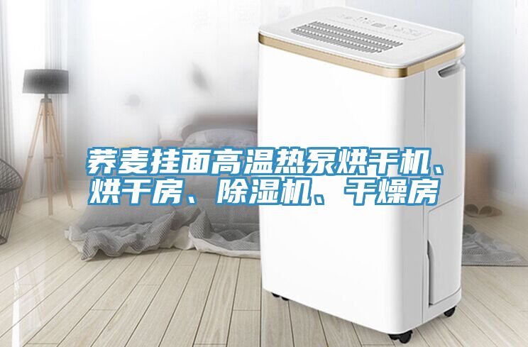蕎麥掛面高溫?zé)岜煤娓蓹C(jī)、烘干房、除濕機(jī)、干燥房
