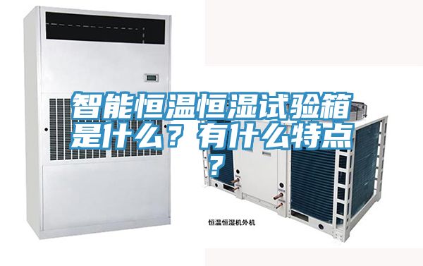 智能恒溫恒濕試驗箱是什么？有什么特點？