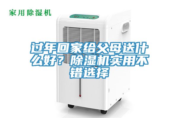 過年回家給父母送什么好？除濕機(jī)實用不錯選擇