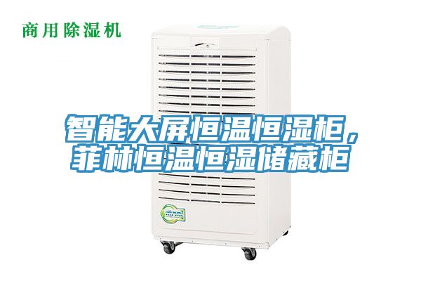 智能大屏恒溫恒濕柜，菲林恒溫恒濕儲(chǔ)藏柜