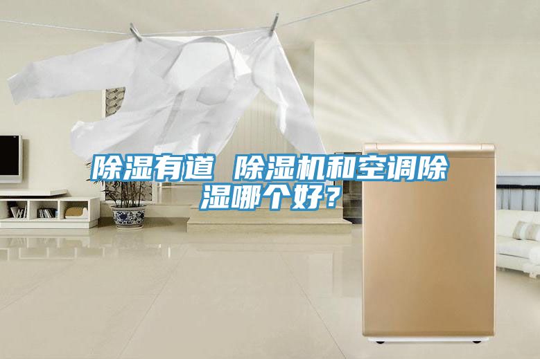 除濕有道 除濕機和空調(diào)除濕哪個好？