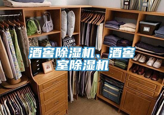 酒窖除濕機(jī)、酒窖室除濕機(jī)