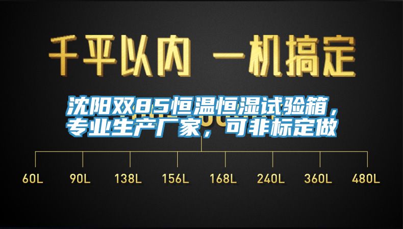沈陽雙85恒溫恒濕試驗(yàn)箱，專業(yè)生產(chǎn)廠家，可非標(biāo)定做