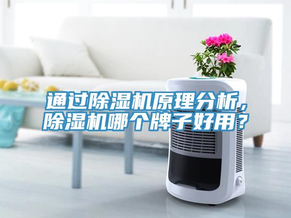 通過除濕機(jī)原理分析，除濕機(jī)哪個(gè)牌子好用？