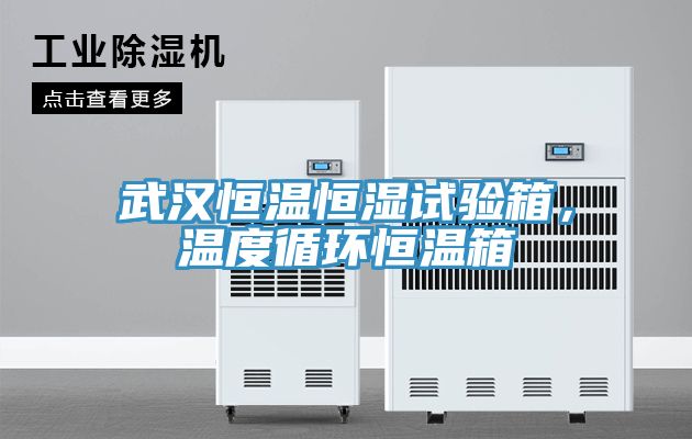 武漢恒溫恒濕試驗(yàn)箱，溫度循環(huán)恒溫箱