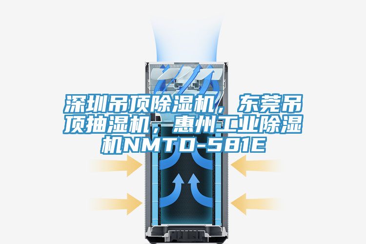 深圳吊頂除濕機，東莞吊頂抽濕機，惠州工業(yè)除濕機NMTD-581E