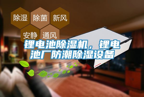 鋰電池除濕機(jī)，鋰電池廠防潮除濕設(shè)備