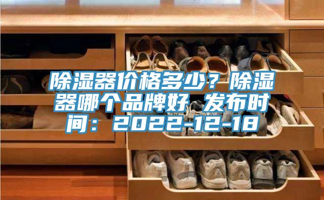 除濕器價(jià)格多少？除濕器哪個(gè)品牌好 發(fā)布時(shí)間：2022-12-18