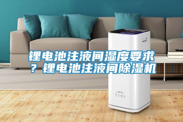 鋰電池注液間濕度要求？鋰電池注液間除濕機(jī)