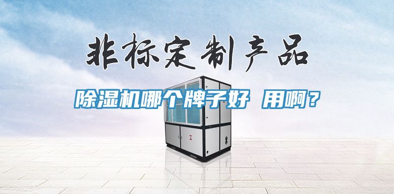 除濕機(jī)哪個(gè)牌子好 用啊？