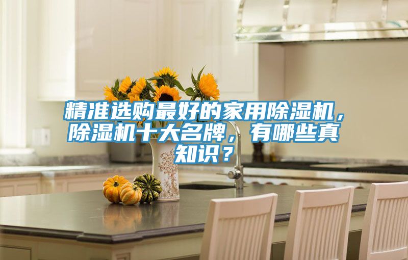 精準選購最好的家用除濕機，除濕機十大名牌，有哪些真知識？