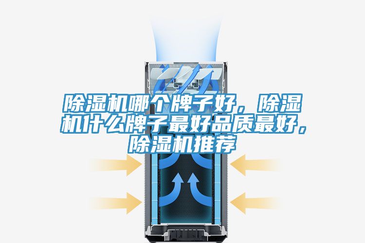 除濕機(jī)哪個牌子好，除濕機(jī)什么牌子最好品質(zhì)最好，除濕機(jī)推薦