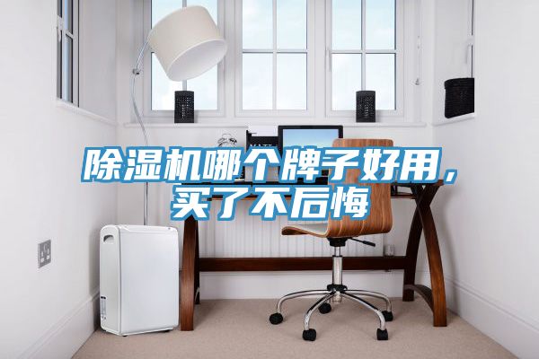 除濕機(jī)哪個牌子好用，買了不后悔
