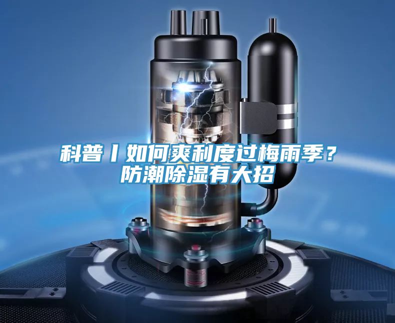 科普丨如何爽利度過梅雨季？防潮除濕有大招