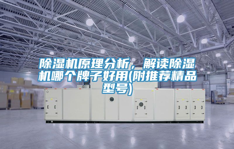 除濕機(jī)原理分析，解讀除濕機(jī)哪個(gè)牌子好用(附推薦精品型號)