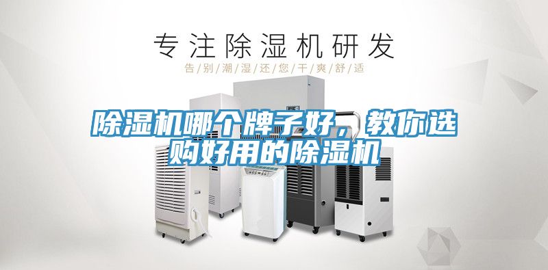 除濕機(jī)哪個牌子好，教你選購好用的除濕機(jī)