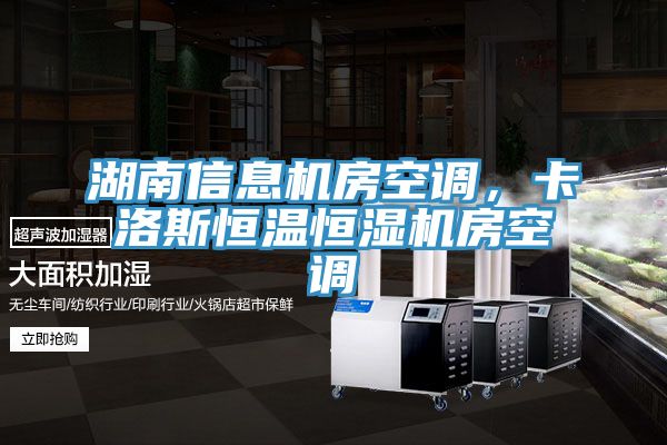 湖南信息機(jī)房空調(diào)，卡洛斯恒溫恒濕機(jī)房空調(diào)