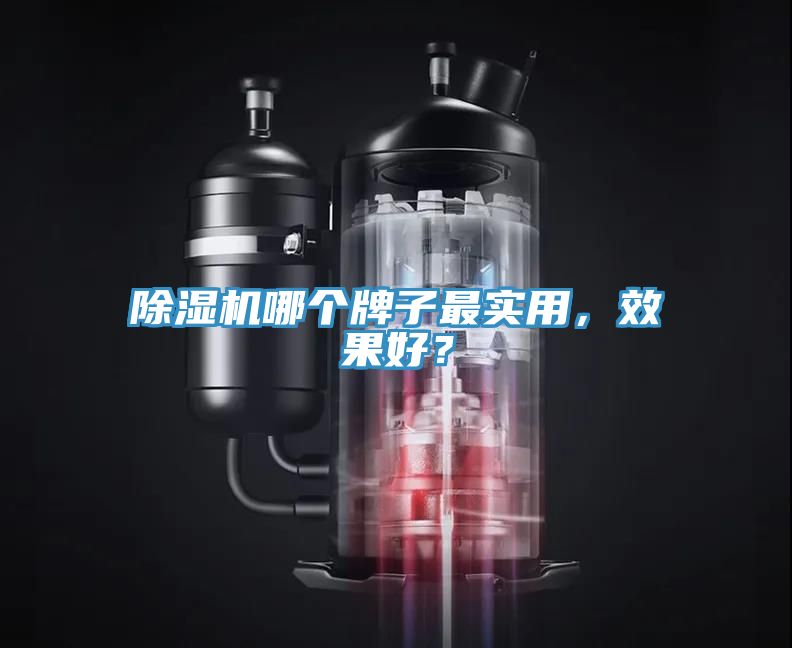 除濕機(jī)哪個(gè)牌子最實(shí)用，效果好？