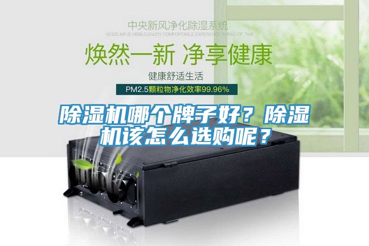 除濕機(jī)哪個(gè)牌子好？除濕機(jī)該怎么選購呢？