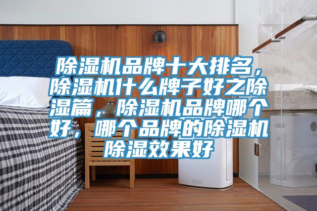除濕機(jī)品牌十大排名，除濕機(jī)什么牌子好之除濕篇，除濕機(jī)品牌哪個好，哪個品牌的除濕機(jī)除濕效果好