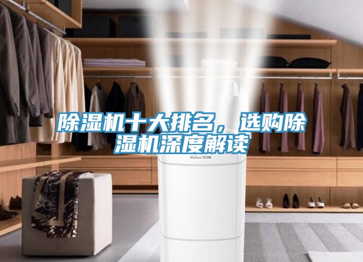 除濕機(jī)十大排名，選購除濕機(jī)深度解讀