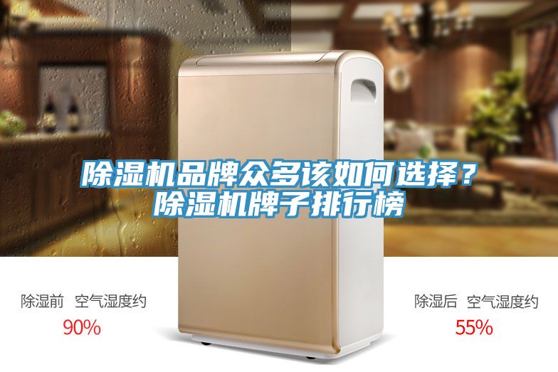 除濕機(jī)品牌眾多該如何選擇？除濕機(jī)牌子排行榜