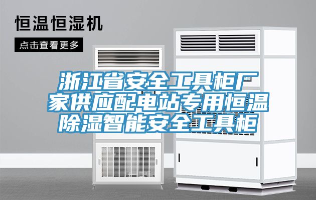 浙江省安全工具柜廠(chǎng)家供應(yīng)配電站專(zhuān)用恒溫除濕智能安全工具柜