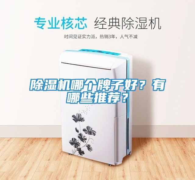 除濕機(jī)哪個(gè)牌子好？有哪些推薦？