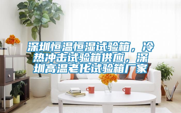 深圳恒溫恒濕試驗箱，冷熱沖擊試驗箱供應(yīng)，深圳高溫老化試驗箱廠家