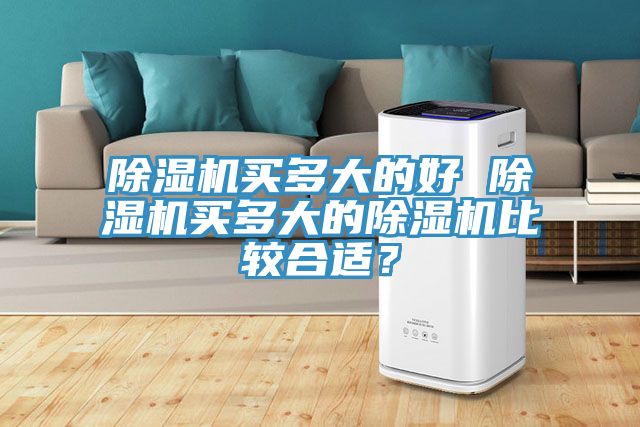 除濕機買多大的好 除濕機買多大的除濕機比較合適？