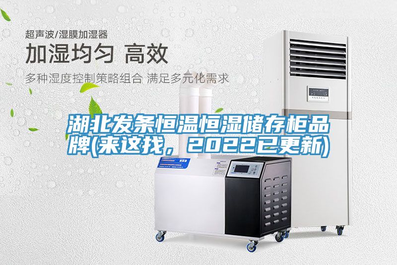 湖北發(fā)條恒溫恒濕儲(chǔ)存柜品牌(來這找，2022已更新)