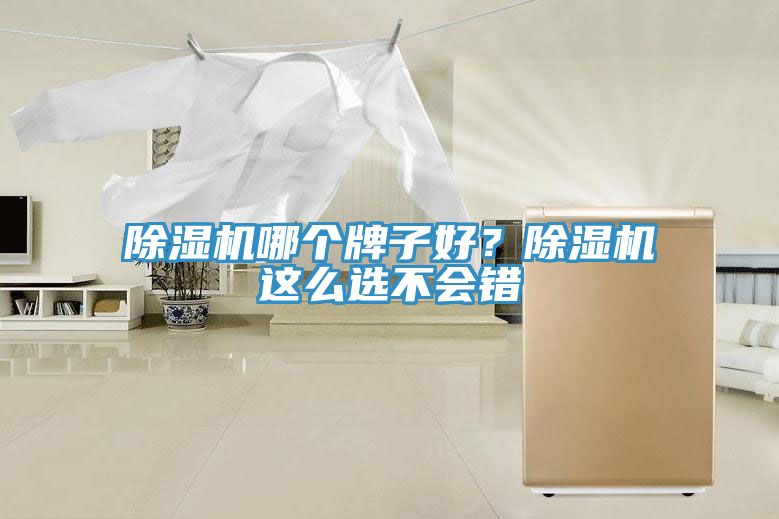 除濕機(jī)哪個(gè)牌子好？除濕機(jī)這么選不會(huì)錯(cuò)