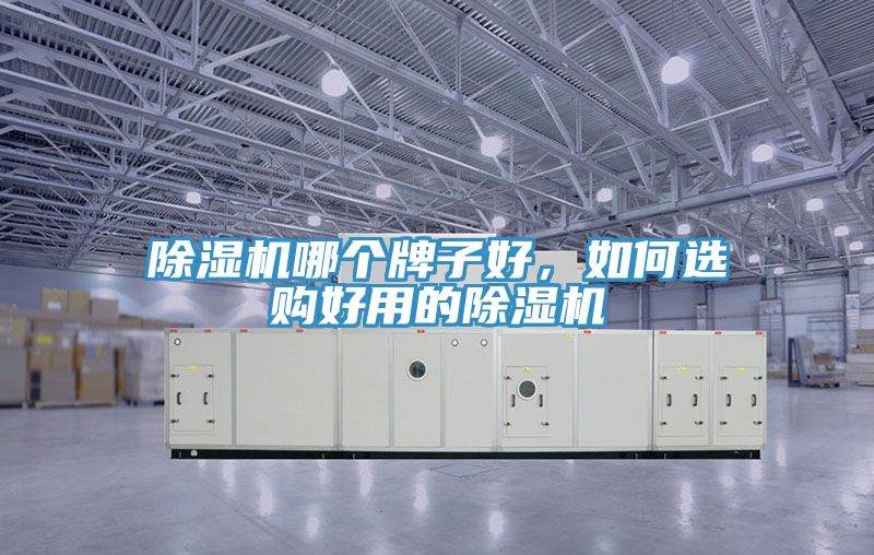 除濕機(jī)哪個牌子好，如何選購好用的除濕機(jī)