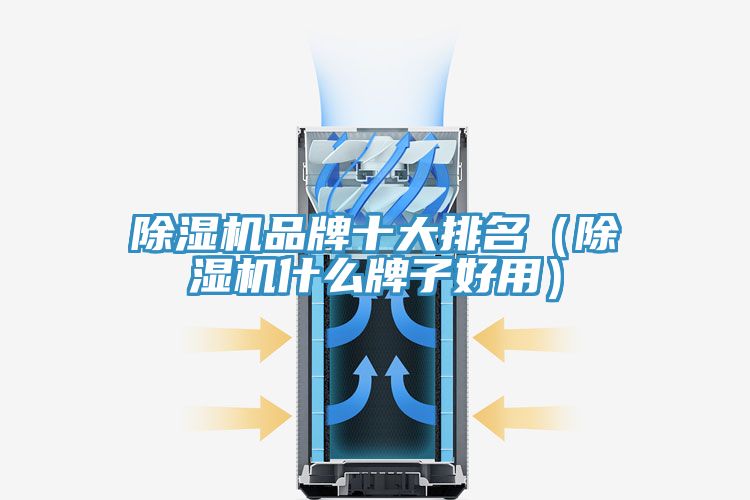 除濕機(jī)品牌十大排名（除濕機(jī)什么牌子好用）