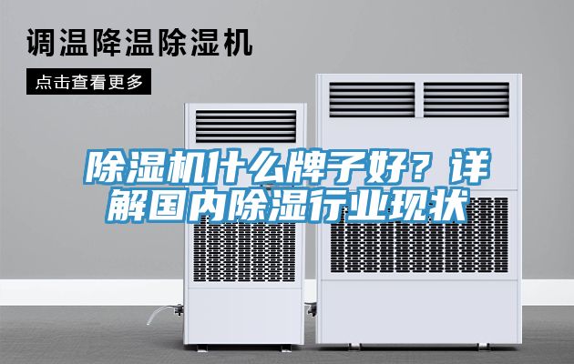 除濕機什么牌子好？詳解國內(nèi)除濕行業(yè)現(xiàn)狀