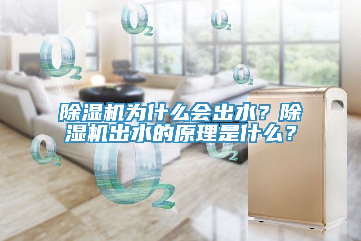 除濕機為什么會出水？除濕機出水的原理是什么？