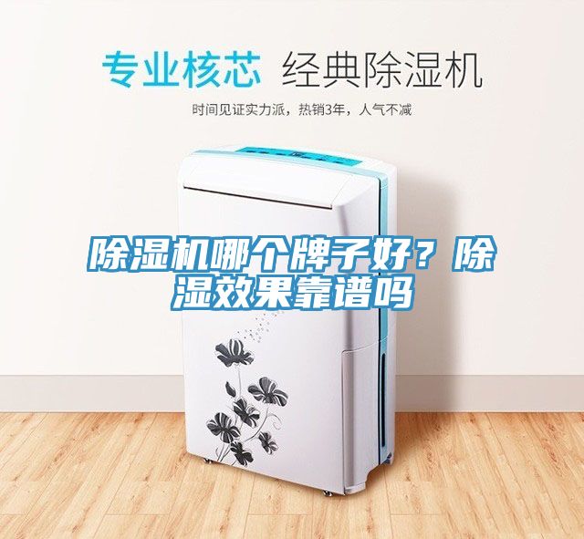 除濕機(jī)哪個(gè)牌子好？除濕效果靠譜嗎