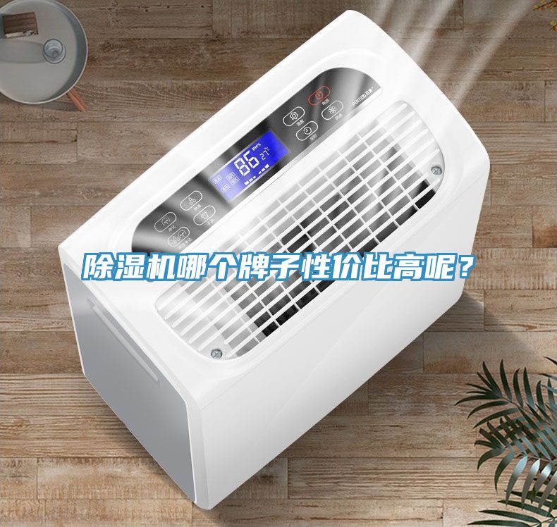 除濕機(jī)哪個(gè)牌子性價(jià)比高呢？