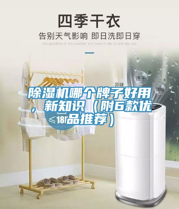 除濕機(jī)哪個牌子好用，新知識（附6款優(yōu)品推薦）