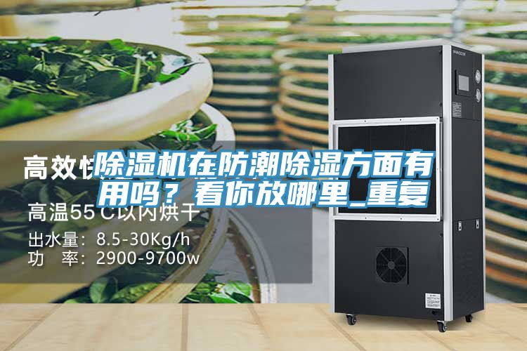 除濕機(jī)在防潮除濕方面有用嗎？看你放哪里_重復(fù)