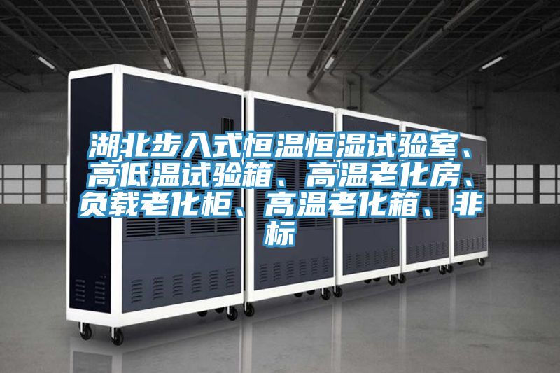 湖北步入式恒溫恒濕試驗(yàn)室、高低溫試驗(yàn)箱、高溫老化房、負(fù)載老化柜、高溫老化箱、非標(biāo)