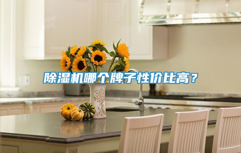 除濕機(jī)哪個(gè)牌子性價(jià)比高？
