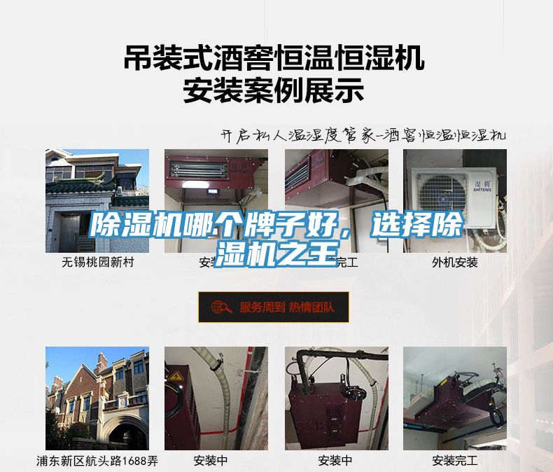除濕機(jī)哪個牌子好，選擇除濕機(jī)之王