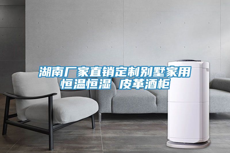 湖南廠家直銷(xiāo)定制別墅家用恒溫恒濕 皮革酒柜