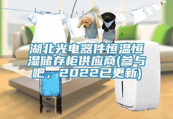 湖北光電器件恒溫恒濕儲(chǔ)存柜供應(yīng)商(參與吧，2022已更新)
